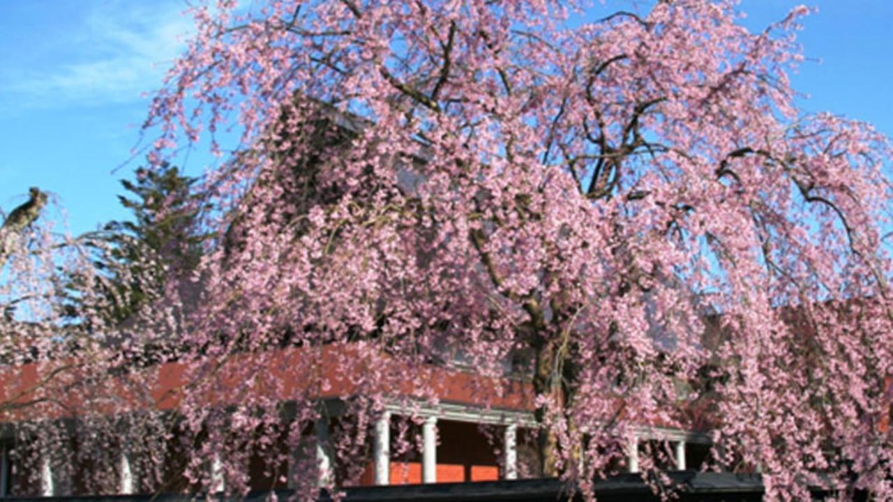 Kyukamura Nyuto-Onsenkyo Semboku Exterior photo
